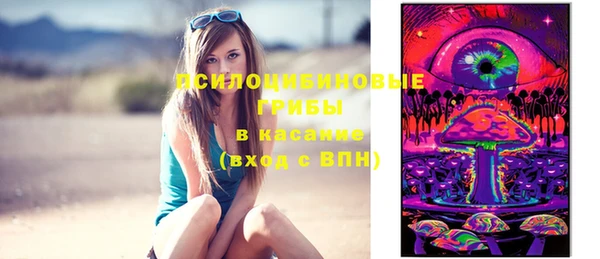 гидропоника Ладушкин