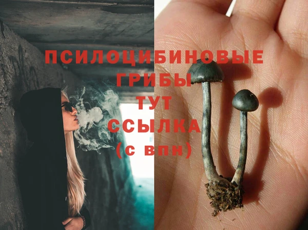 гашик Куйбышев