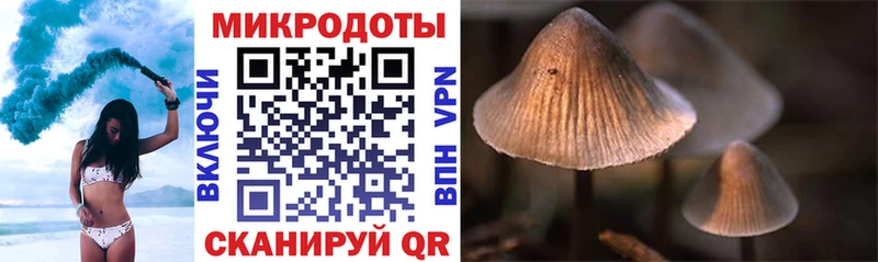 Галлюциногенные грибы GOLDEN TEACHER  сколько стоит  Неман 